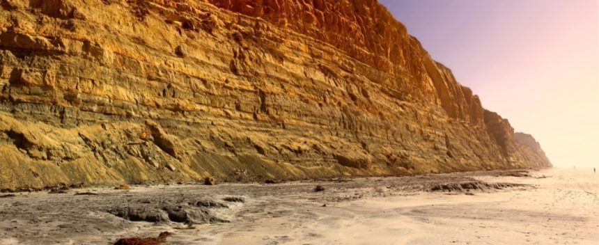 torrey-pines-beach